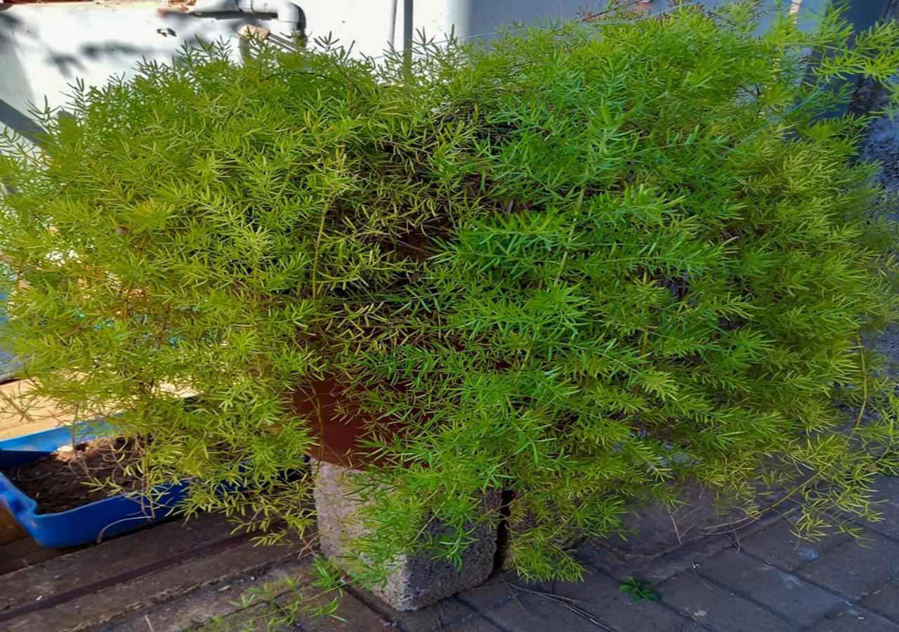 R Garden 1 - Ensuite Avec Acces Prive Et Independant *